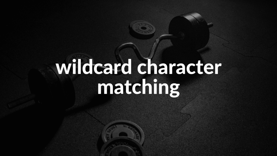 wildcard character matching