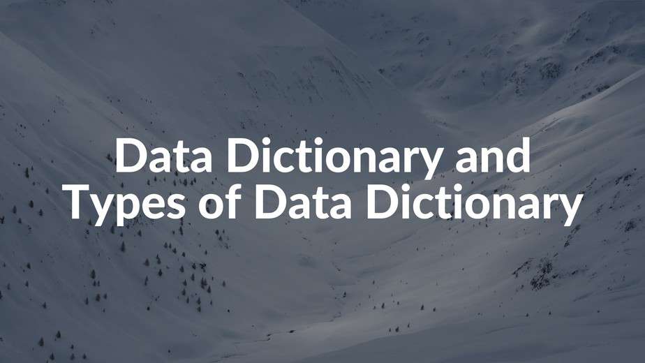 Data Dictionary and Types of Data Dictionary