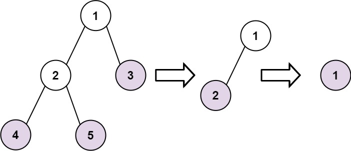 راه حل LeetCode برگ های درخت دودویی را پیدا کنید